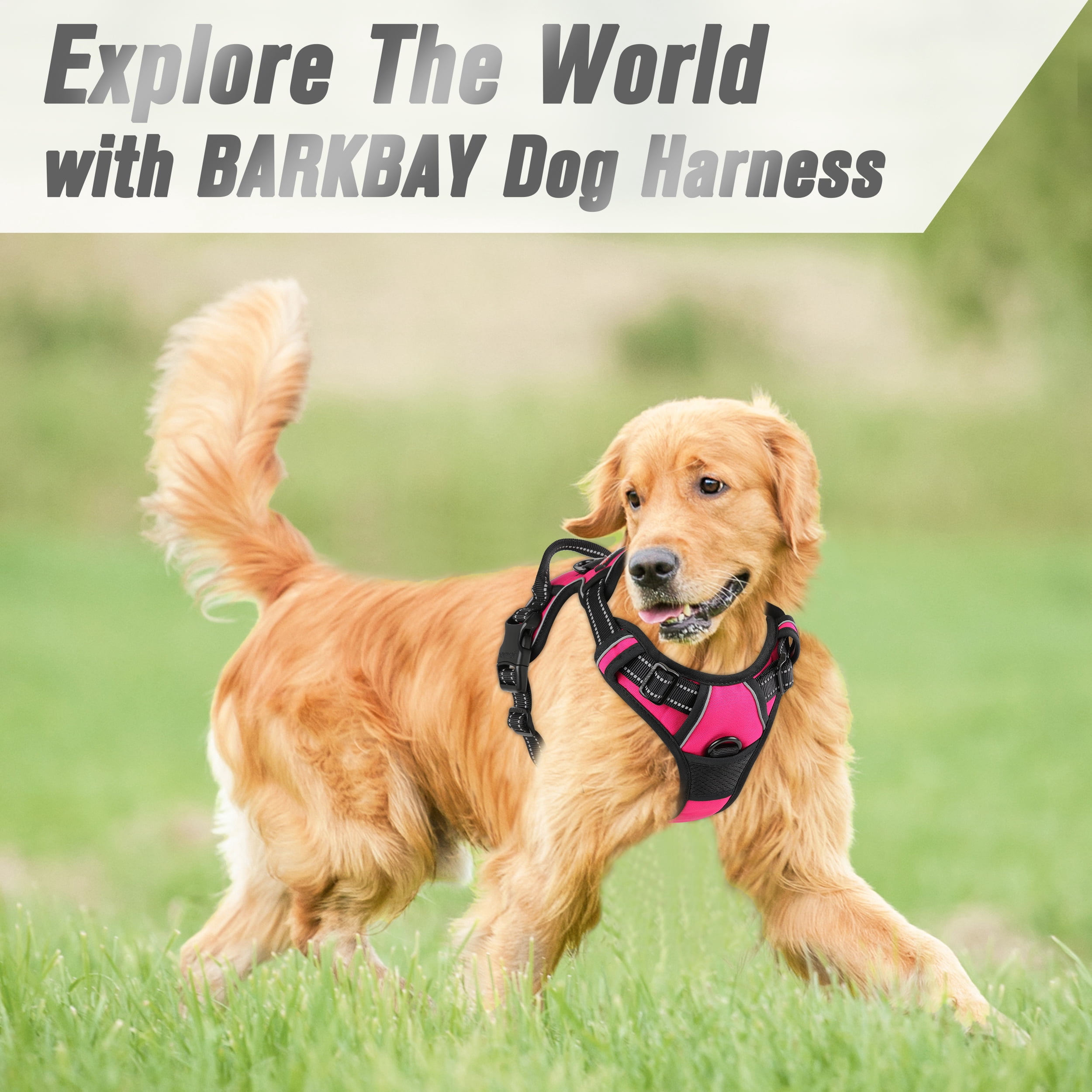BARKBAY No Pull Dog Harness Front Clip Heavy Duty Reflective Easy Control Handle for Large Dog Walking(Pink,L)
