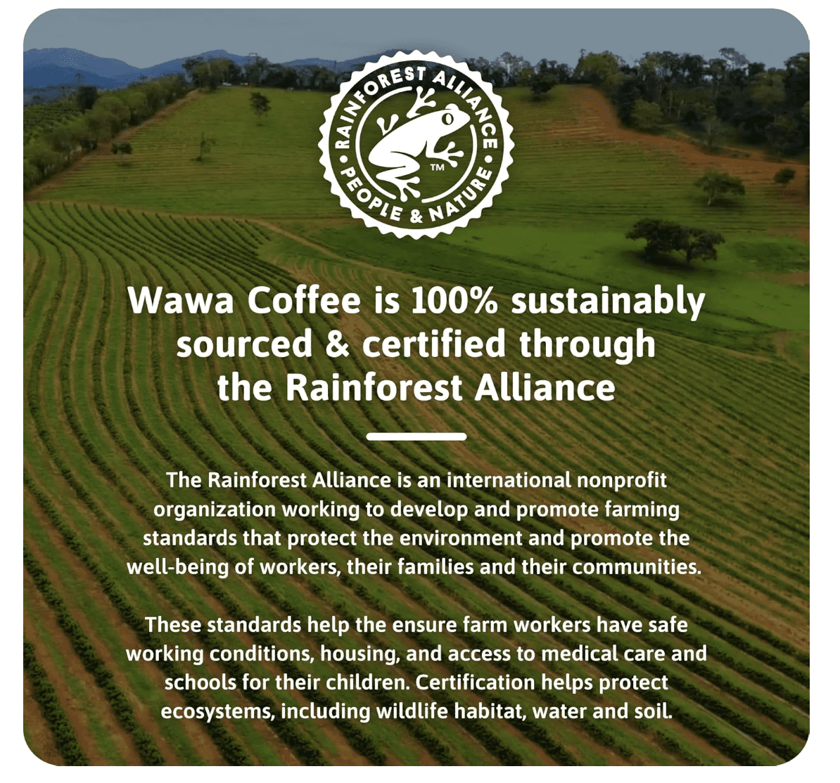 Wawa Coffee Single serve cups for Keurig K-Cup Brewers DECAF 12 Count Box