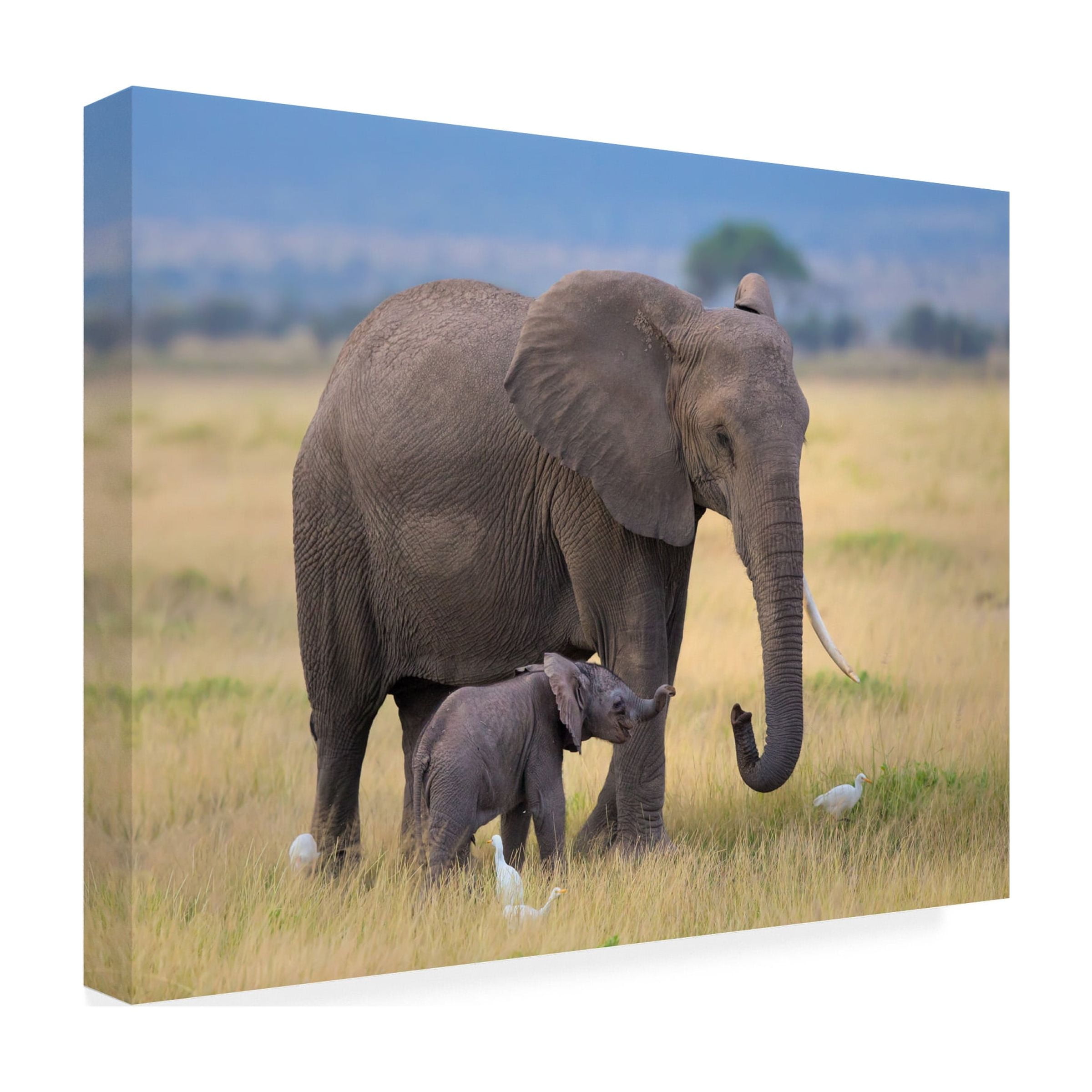 Young Feng 'Learning' Canvas Art
