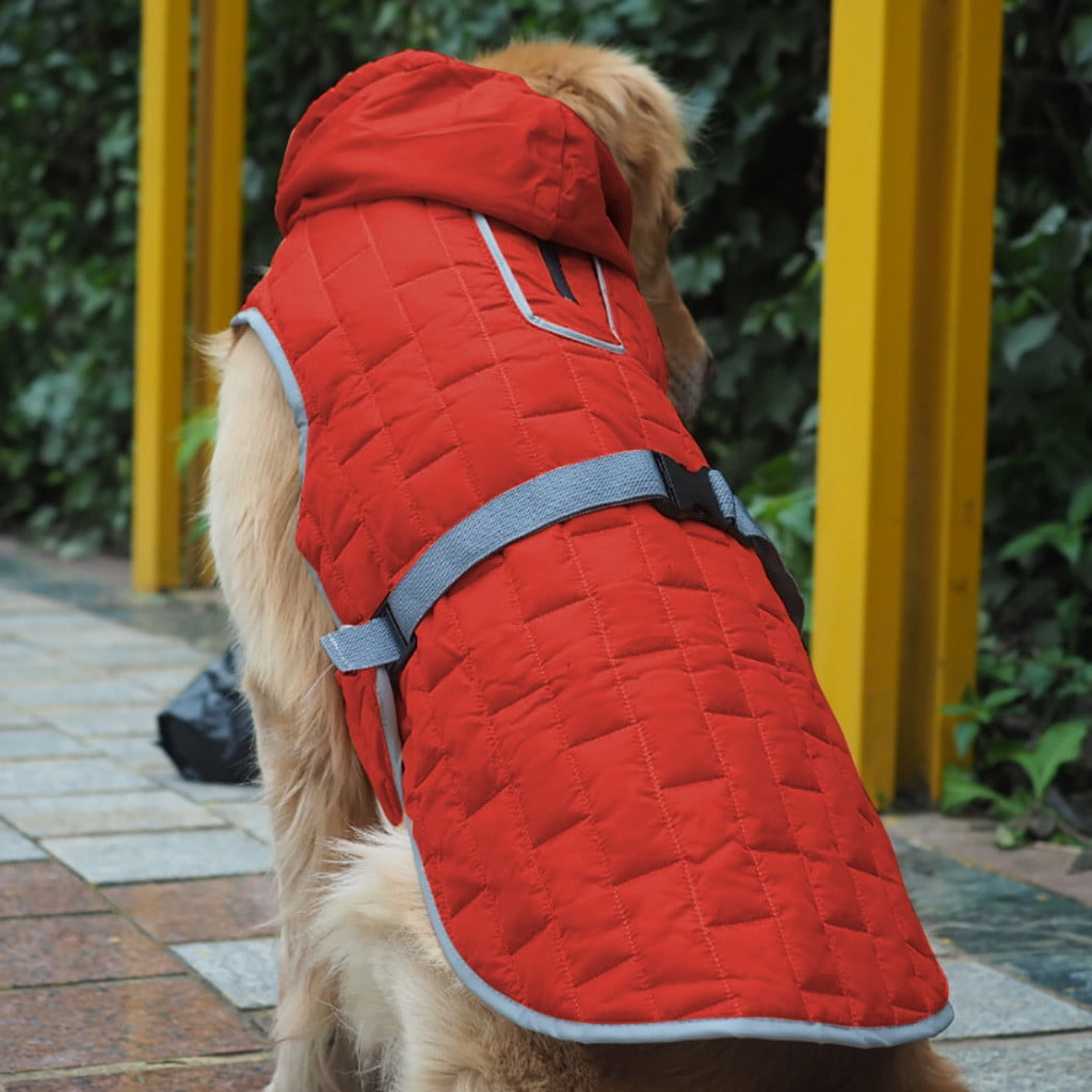 large dog jackets for winter