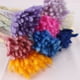 thumbnail image 5 of Matsuzay 60 unidades/juego de hogar, oficina, sala de estar, dormitorio, flores secas portátiles, boda, fiesta, hierbas, decoración de Flores artificiales Blanco, 5 of 6