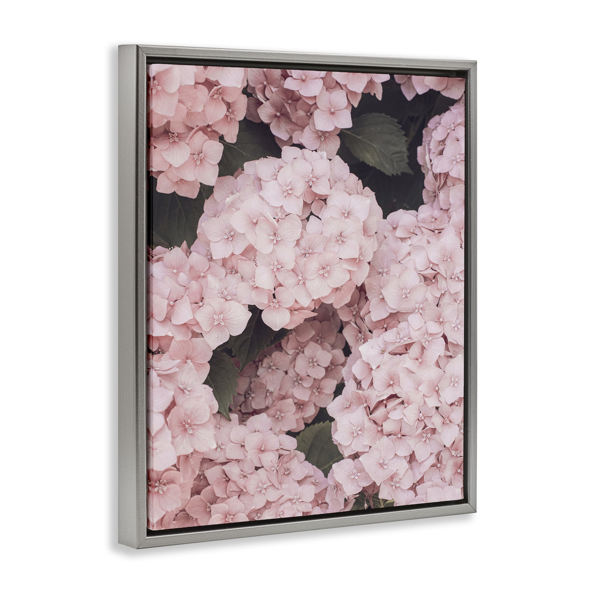 Stupell Industries Pink Hydrangea Blossoms Plants & Flowers Photography Gray Floater Framed Canvas Art Print Wall Art, 25 x 31