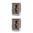 thumbnail image 3 of Bewildely Espécimen de insecto Real resistente y duradero con Ideas transparentes, no tóxicas, adorno pequeño, grillo topo grillo topo 2Conjunto, 3 of 6