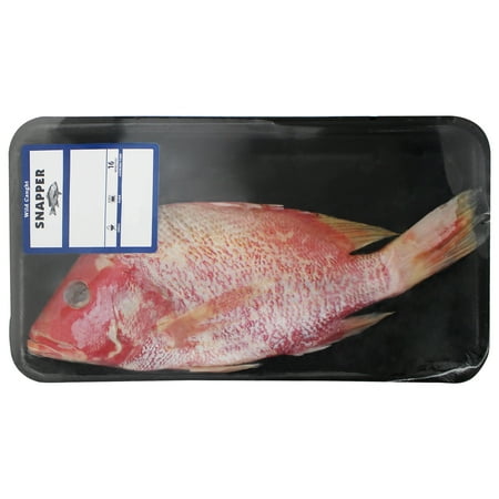 Fresh Wild Caught Whole Snapper, 1.5-3 lb