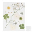 thumbnail image 1 of Flores prensadas secas, marcapáginas de flores artesanales, flores naturales, fundas de teléfono, flores prensadas, especímenes de plantas de flores secas, 1 of 8