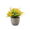 thumbnail image 1 of Bearachild Decoración artificial elegante de la planta en conserva fácil limpiar el árbol artificial del dinero en pote respetuoso del medio Decoración rosa naranja, 1 of 6