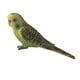 thumbnail image 4 of Figuras de aves, figuras de aves de simulación, modelo animal, juguete para la cultura residencial. Loro 1, 4 of 7