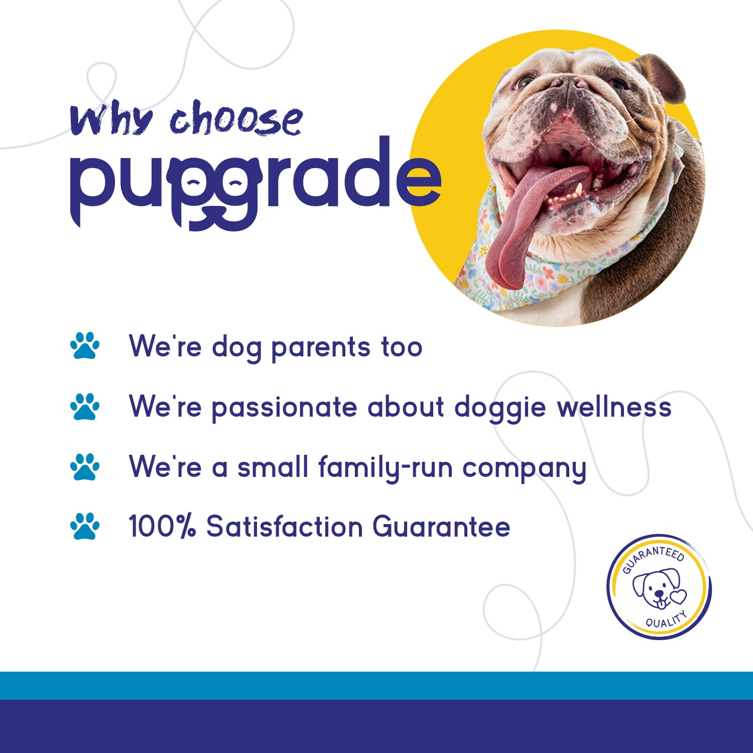 PupGrade Joint Support Soft Chews for Dogs, Glucosamine & Perna Mussel, 120 Count Bag