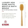 thumbnail image 2 of Kent FD3 Luxury Beechwood Body Scrubbing Exfoliating Bath/Shower Brush with 100% Pure White Bristle. Long Handle with Detachable Head, Wet/Dry Back and Skin Brushing, Body Exfoliator. Made in England, 2 of 6