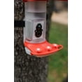 thumbnail image 5 of FeatherSnap Smart Hummingbird Feeder with HD Camera  WiFi Solar Bird Feeder with Motion Sensor, App Alerts, Live Video & Photo Capture  1L Nectar Capacity + Pole Stand, 5 of 9