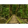 thumbnail image 2 of wall26 - Low Angle View of a Wooden Bridge in The Ecuadorian Jungle. - Removable Wall Mural | Self-Adhesive Large Wallpaper - 66x96 inches, 2 of 6