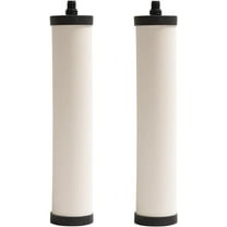 Franke FRC06-2Pk Filter Cartridge Chlorine 2Pack