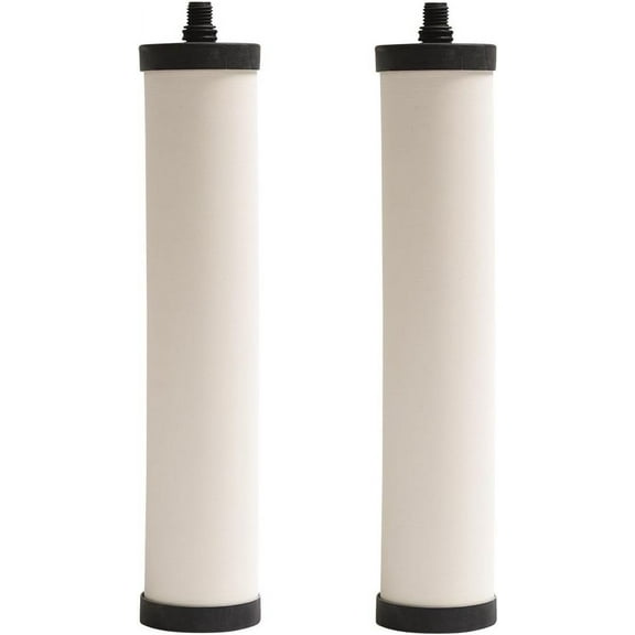 Franke FRC06-2Pk Filter Cartridge Chlorine 2Pack