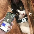 thumbnail image 5 of BotaniNest Collier pour Animaux Collier pour Chiens et Chats Portée Illimitée Dispositif de Localisation Intelligent Compatible avec Suivi Réel des Animaux, 5 of 5