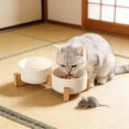 thumbnail image 4 of Elevated Double Ceramic Cat Bowl with Wide Shallow Dishes, Whisker Fatigue Relief Raised Food and Water Bowl for Better Digestion and Neck Support, 4 of 7