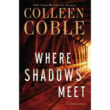 Where Shadows Meet : A Romantic Suspense Novel