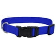 thumbnail image 1 of Pet Attire by Coastal Small 8-12" Blue Adjustable Buckle Dog Collar, 1 of 7