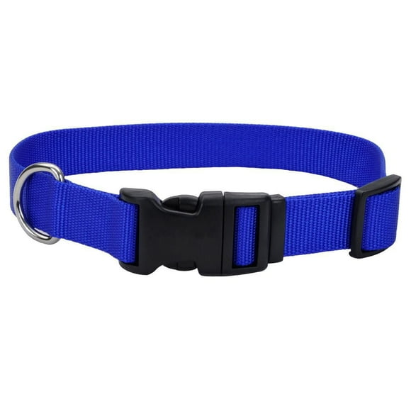 Pet Attire By Coastal Collier Réglable pour Chien avec Boucle en Plastique Bleu, Petit, 3/8" x 8"-12"
