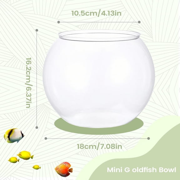 Clear Bubble Planter Bowl, Space-Saving Aquarium Bowl for Table Centerpiece and Home Decor