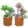 thumbnail image 1 of uds simulación de suculentas combinación bonsái decoración creativa planta de flores decoración interior, 1 of 5