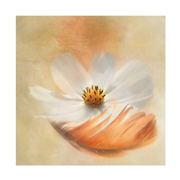 Canvas Wall Art - Gaille Gray 'As Light As A Feather' Wall Art for Living Room, Bedroom, or Office D?cor by Trademark Fine Art - 14 x 14 Inches