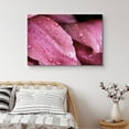 thumbnail image 1 of PixonSign Canvas Print Wall Art Pink Flower Petal Close-Up with Water Droplets Floral Wilderness Photography Realism Modern Colorful Multicolor Dark for Living Room, Bedroom, Office - 32"x48", 1 of 5