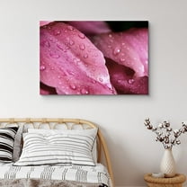 PixonSign Canvas Print Wall Art Pink Flower Petal Close-Up with Water Droplets Floral Wilderness Photography Realism Modern Colorful Multicolor Dark for Living Room, Bedroom, Office - 32"x48"
