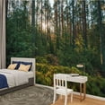 thumbnail image 2 of Peel and Stick Wallpaper Beautiful landscape sunset dense pine forest beauty northern nature Modern Art Wall Mural Decor Self Adhesive and Removable 100in x 144in, 2 of 8