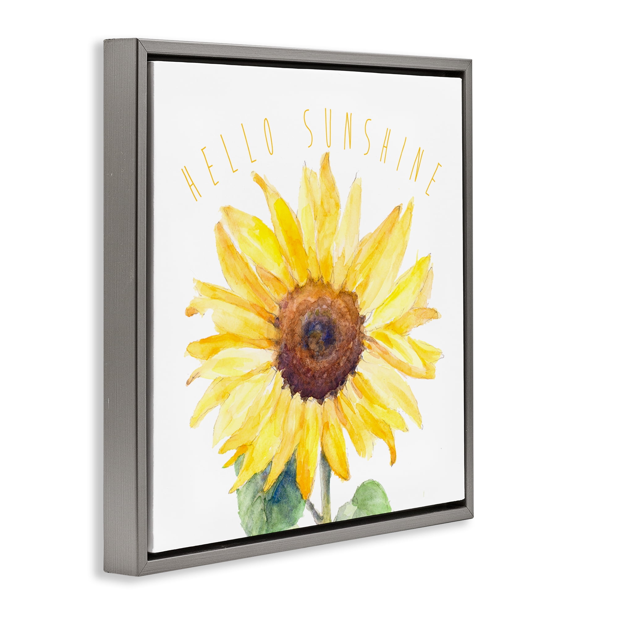 Stupell Industries Hello Sunshine Bloom Plants & Flowers Painting Gray Floater Framed Canvas Art Print Wall Art, 18 x 18