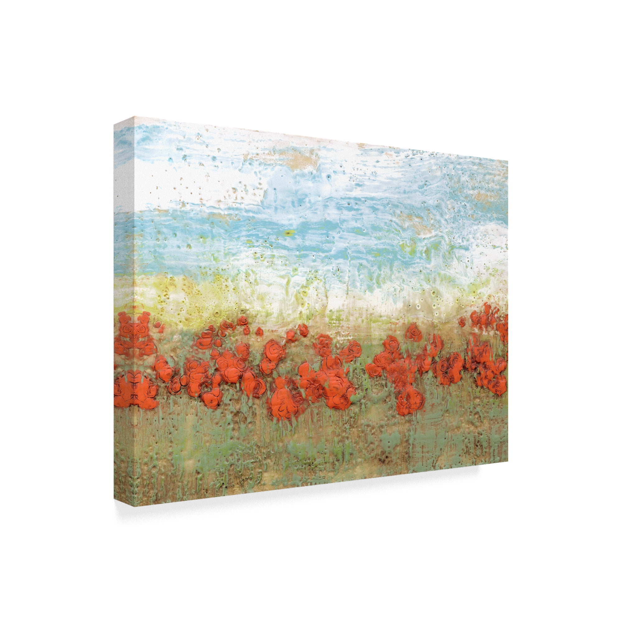 Trademark Fine Art 'Coral Poppies I' Canvas Art by Jennifer Goldberger