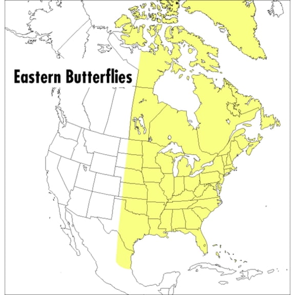 Pre-Owned Field Guide to Eastern Butterflies (Peterson Field Guides) Paperback