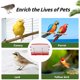 thumbnail image 4 of 1 comedero automático para codornices, práctico comedero para aves de corral, 4 of 5