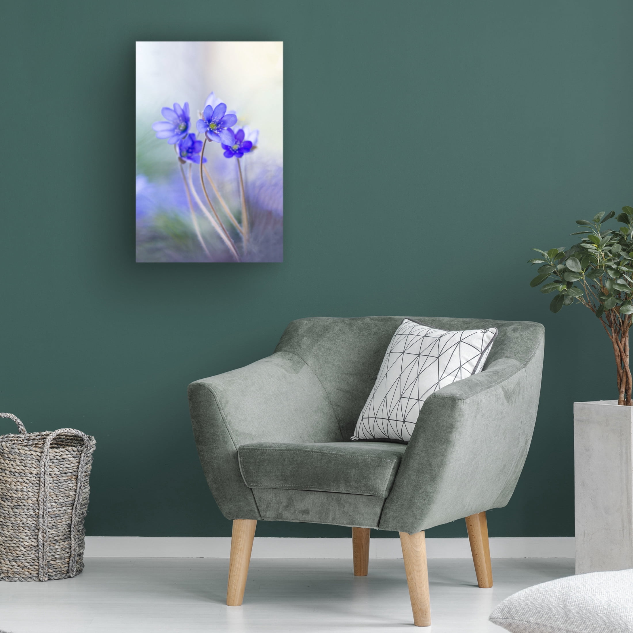 Canvas Wall Art - Davis Zandersons 'Memories Of A Spring Ii' Wall Art for Living Room, Bedroom, or Office Décor by Trademark Fine Art - 16 x 24 Inches