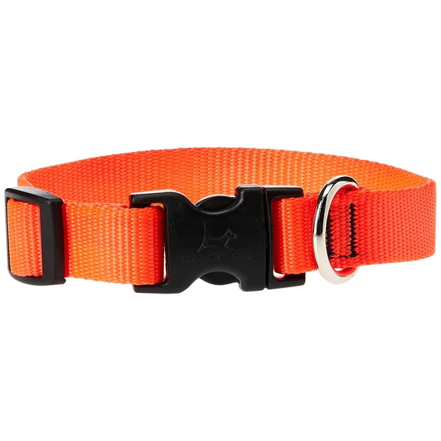 Collar para perros LupinePet Basics Blaze Orange 23-36 cm ajustable