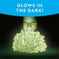 thumbnail image 4 of Kit de cultivo de cristal National Geographic Jumbo con cristal brillante, 4 of 7