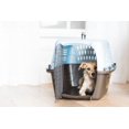 thumbnail image 5 of PETMATE NICHE A 2 PORTES 24" POUR CHIENS ET CHATS, 5 of 5