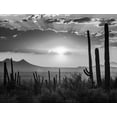 thumbnail image 2 of Noah Jigsaw Puzzle General view of Tucson, Arizona. in black white 1000 pieces, 2 of 2
