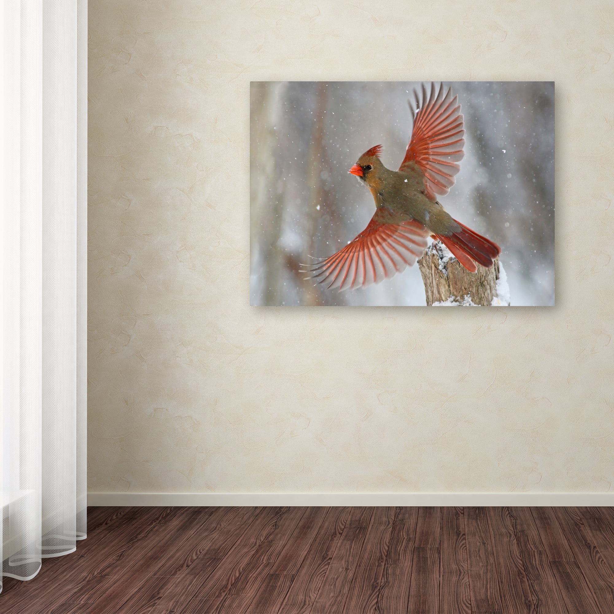 Trademark Fine Art 'Snow Storm I' Canvas Art by Mircea Costina