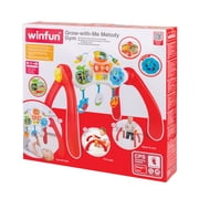 Winfun Grow with Me Melody Gym for Babies 3 Months and Up