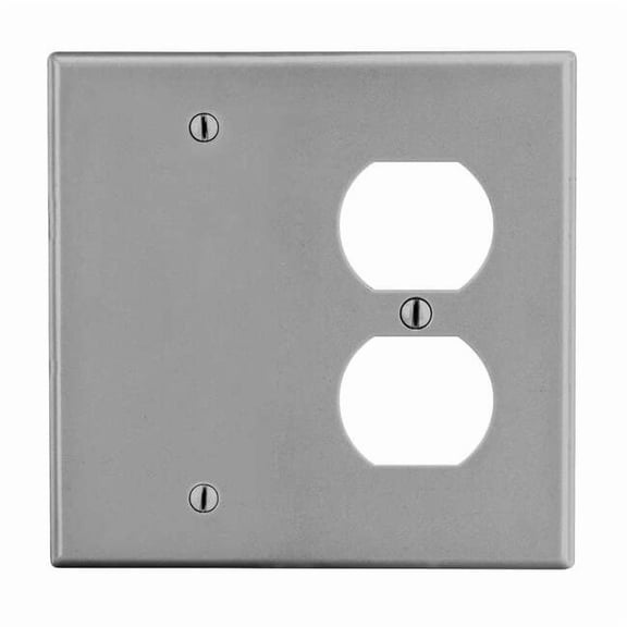Hubbell Wiring Device-Kellems Blank Wall Plate,Gray P138GY