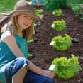 thumbnail image 4 of Collares Antibabosas para Proteger Plantas de Caracoles y Babosas (15 Unidades), 4 of 5