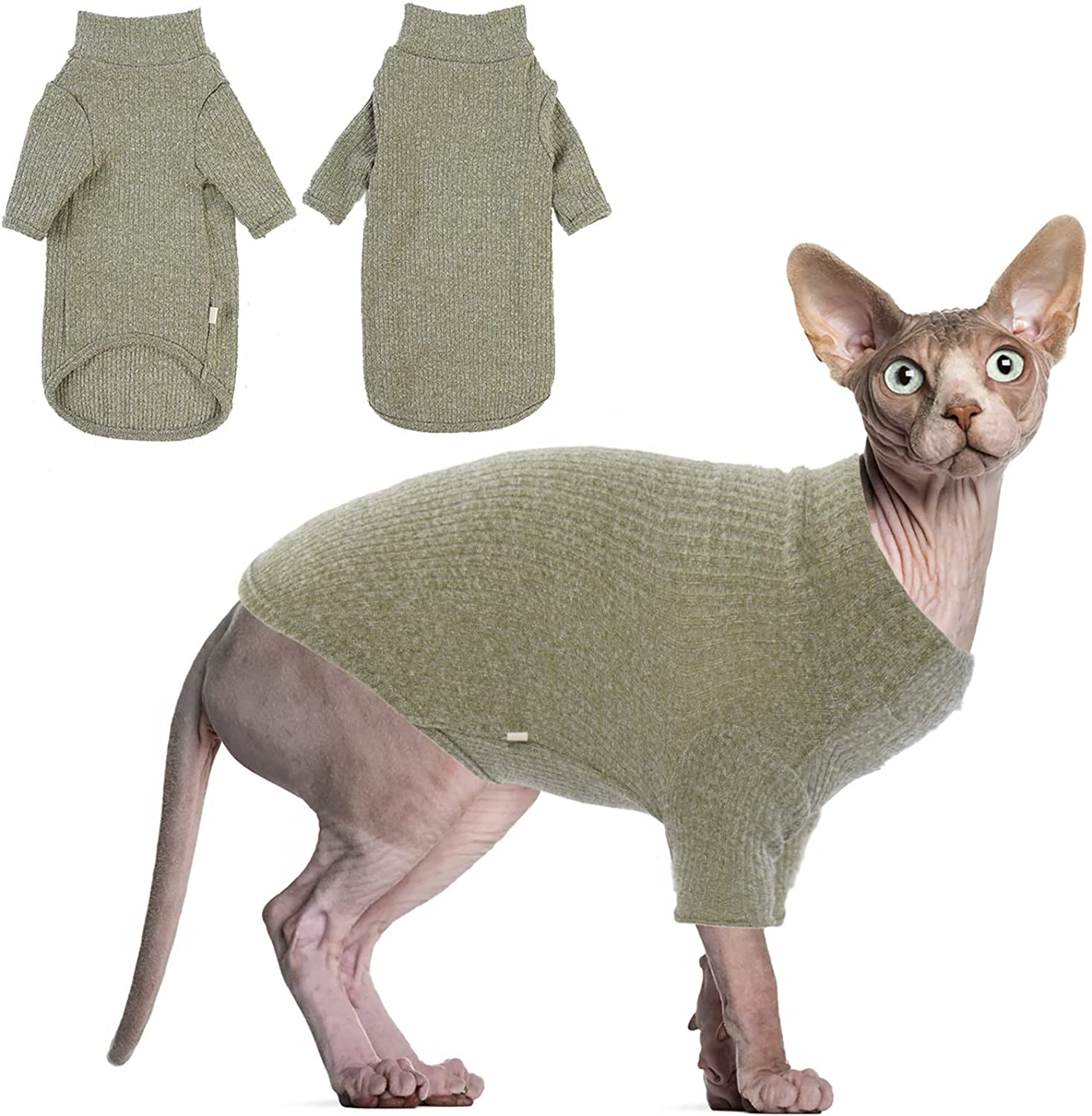 Hairless Cat Wearing Sweater