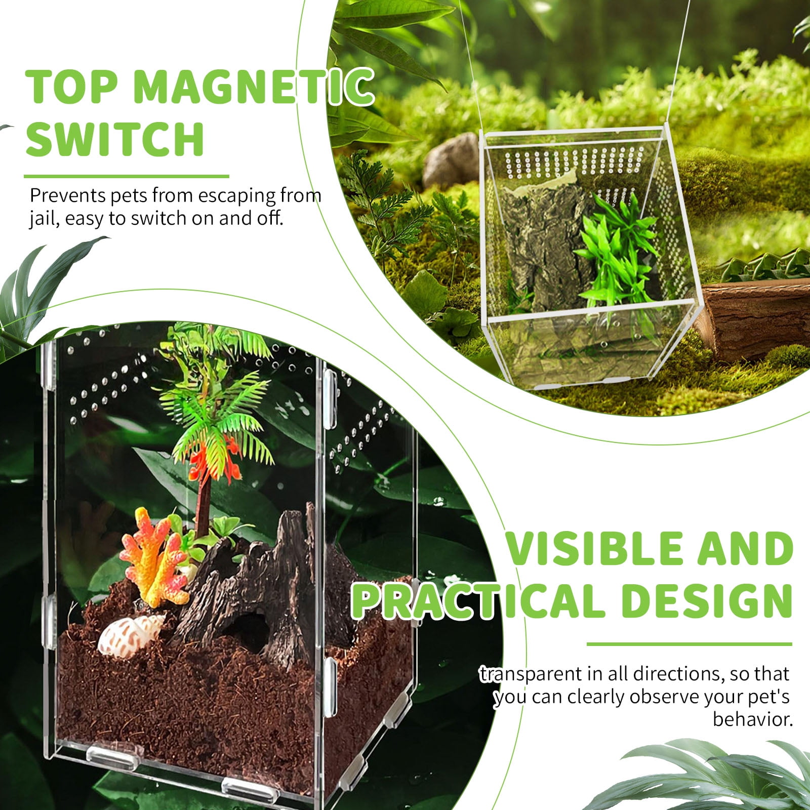 2 Sets Acrylic Mini Reptile Tank Accessories, Mini Tarantula Enclosure with Locking, Terrarium for Reptiles Jumping Spiders