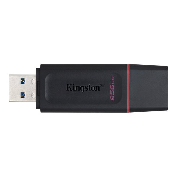 Kingston DataTraveler Exodia - USB flash drive - 256 GB - USB 3.2 Gen 1 - black/pink