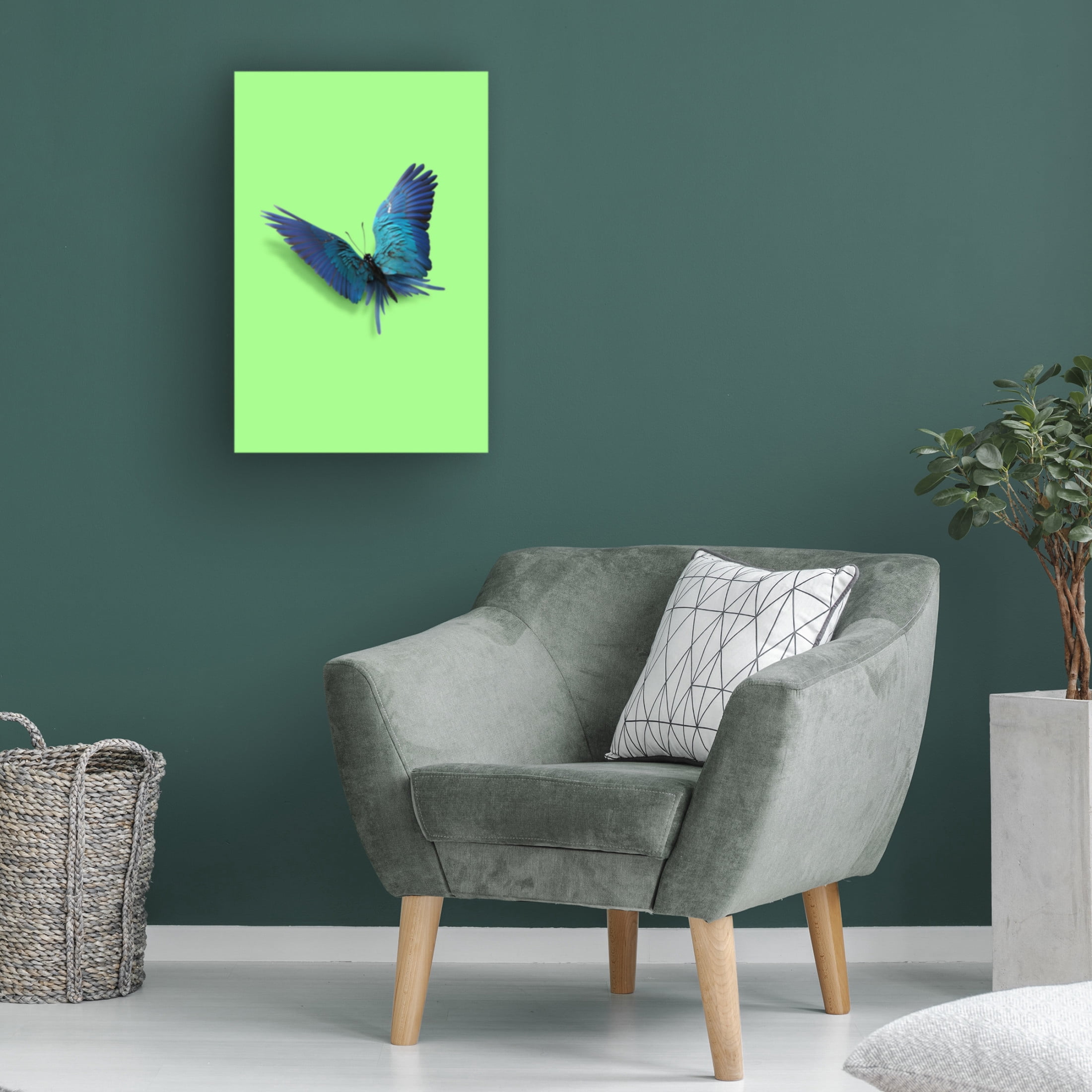 Trademark Fine Art Artem Pozdniakov  Parrot Butterfly Canvas Wall Art
