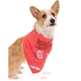 thumbnail image 4 of General Mills Monster Cereal Franken Berry Pet Bandana 3 Pack One Size Pink, 4 of 5
