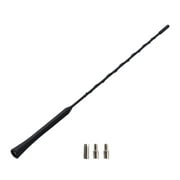 Anself Universal Car Flexible Noise Bee-Sting Aerial Antenna with Screws 41 CM 16''