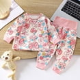 thumbnail image 2 of 18-24 Months Baby Girl Clothes Toddler Girl Outfits Shirt Pants Cute Infant Outfit Set Baby Girl Fall Winter Clothes Girls' Fall/winter Cute Casual Warm Fleece Thick Pink, 2 of 6
