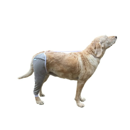 After Surgery Wear Hip and Thigh Wound Protective Sleeve for Dogs. Dog Recovery Sleeve. Recommended by Vets Worldwide X-Large