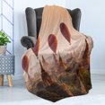 thumbnail image 4 of East Soft Flannel Fleece Blanket, Hot Air Balloon over Plain of Bagan Misty Morning Myanmar Famous Heritage, Cozy Plush for Indoor and Outdoor Use, 50" x 70", Peach Orange Cinnamon, by Ambesonne, 4 of 5